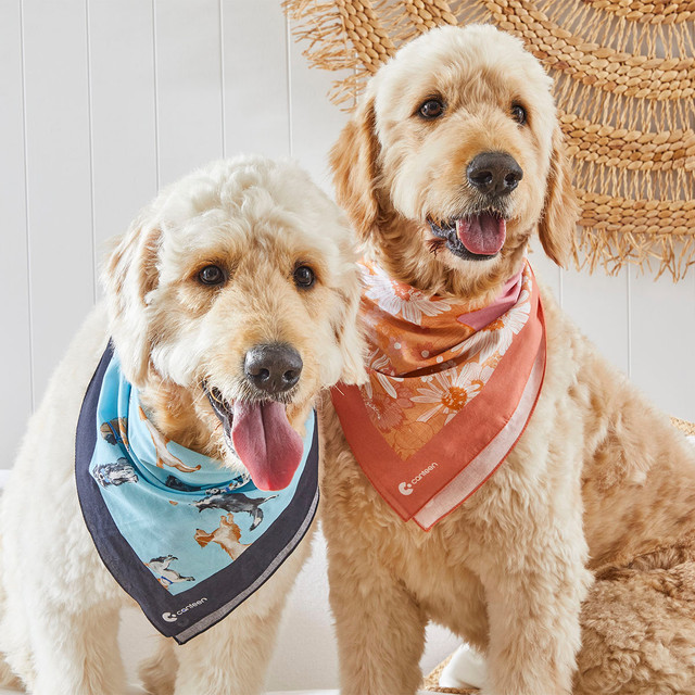 Doggy Love Bandanna 6 Doggy Love Bandanna