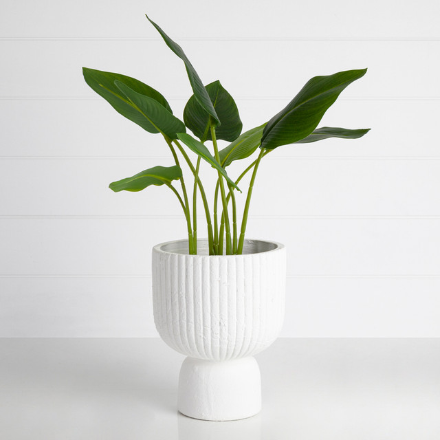 Circa White Decorative Pot 17 Circa White Decorative Pot