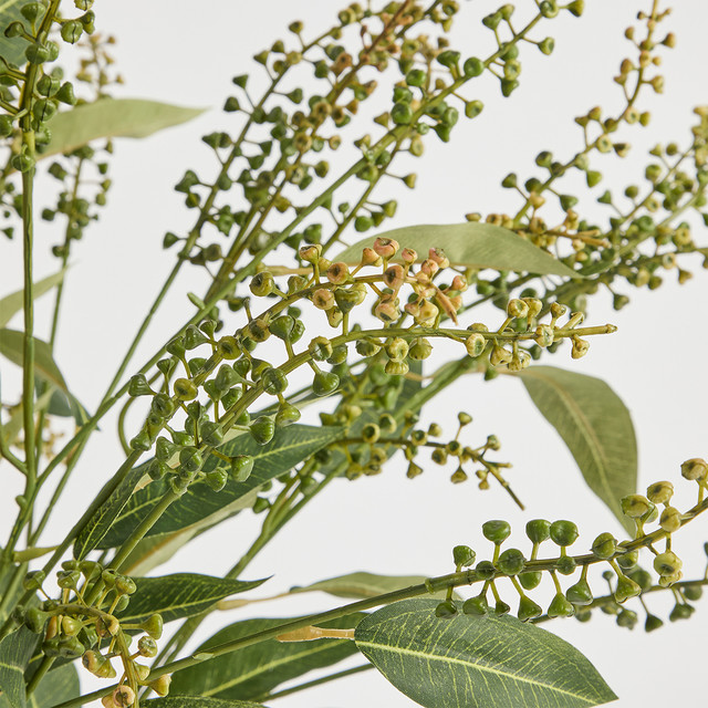 Artificial Seeded Eucalyptus Leaf Stem 8 Artificial Seeded Eucalyptus Leaf Stem