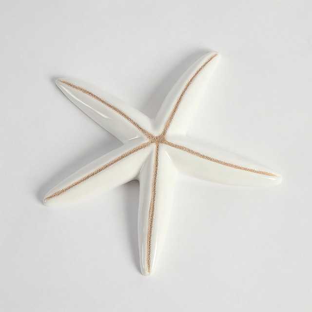 Tide Starfish