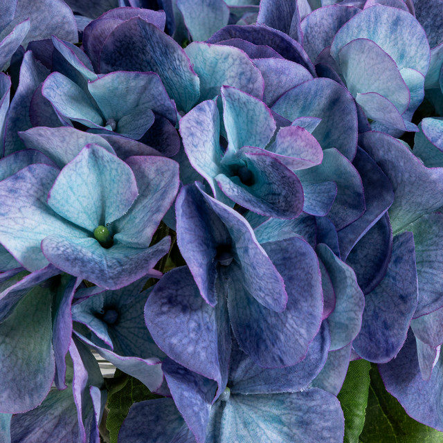 Hydrangea Pick 8 Hydrangea Pick