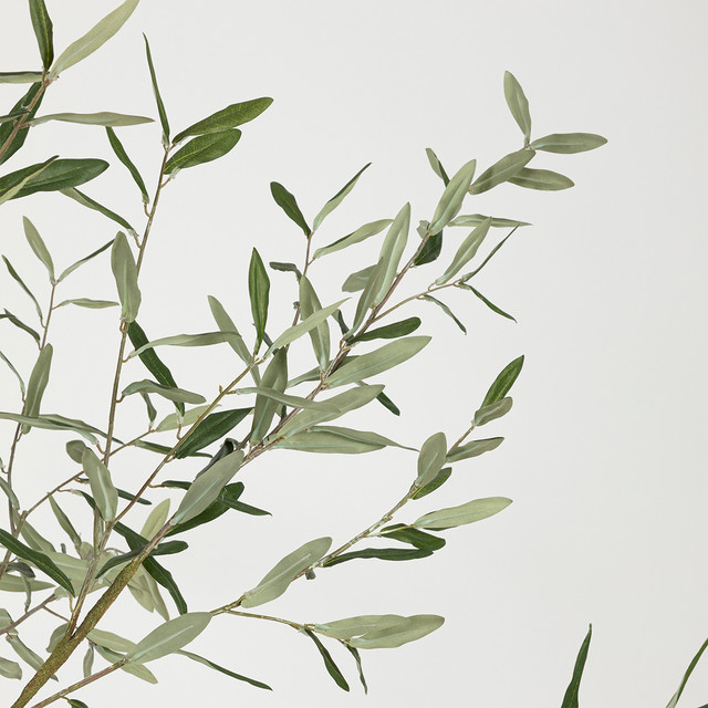 Artificial Fruitless Olive Tree 11 Artificial Fruitless Olive Tree