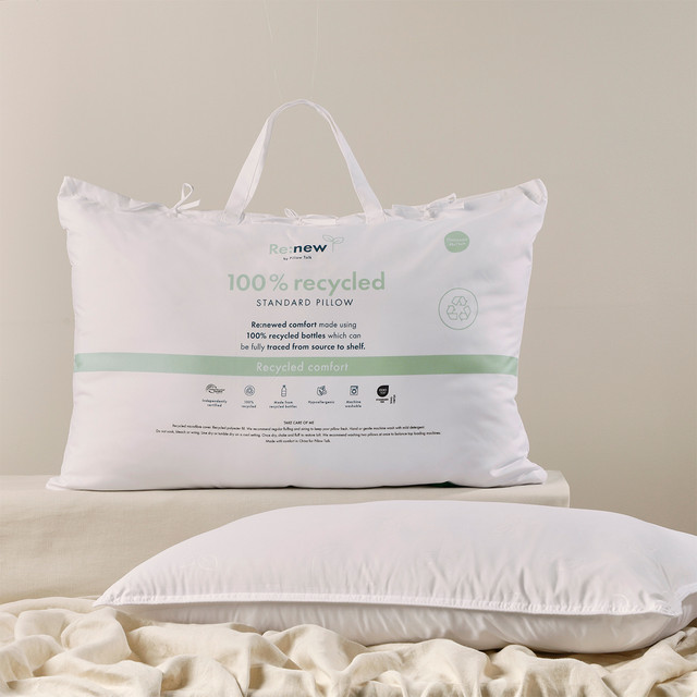 Recycled Pillow 1 Recycled Pillow