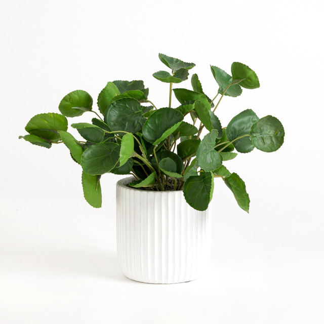 Artificial Elly Potted Baily Succulent 1 Artificial Elly Potted Baily Succulent