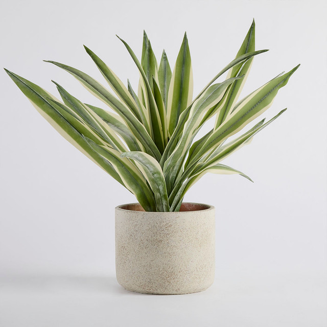 Artificial Eddie Potted Plant 11 Artificial Eddie Potted Plant