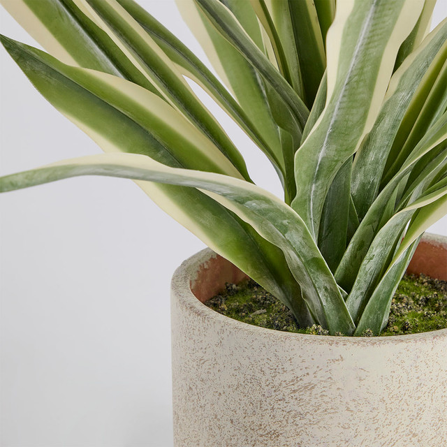 Artificial Eddie Potted Plant 12 Artificial Eddie Potted Plant