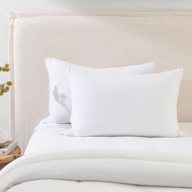 Cotton Jersey Standard Pillow Protector 8 Cotton Jersey Standard Pillow Protector