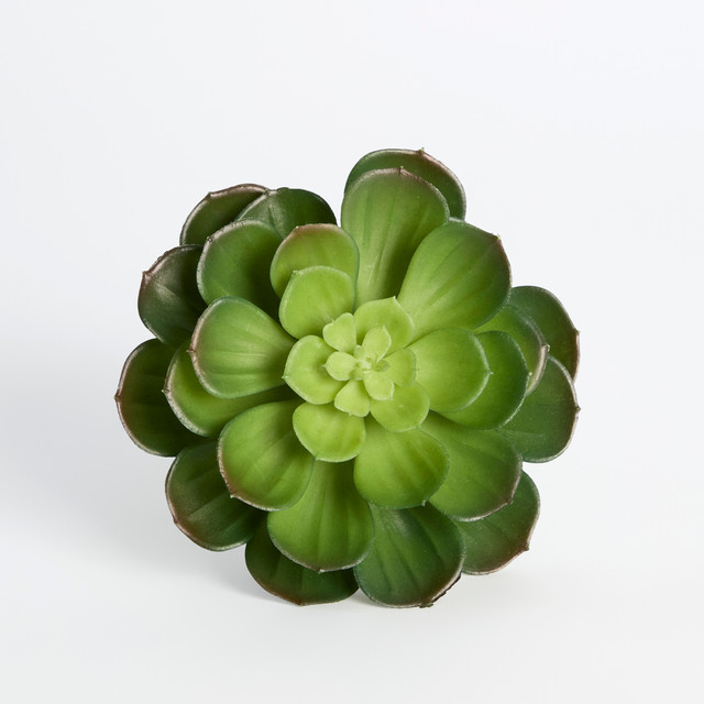 Artificial Succulent Atlantis Pick 1 Artificial Succulent Atlantis Pick