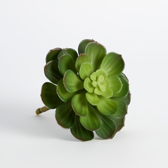 Artificial Succulent Atlantis Pick 7 Artificial Succulent Atlantis Pick
