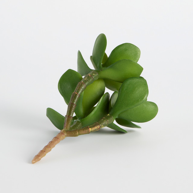 Artificial Succulent Jade Plant Pick 8 Artificial Succulent Jade Plant Pick