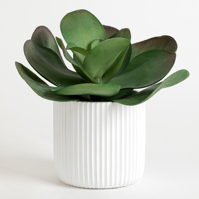 Artificial Elly Flapjack Potted Succulent 1 Artificial Elly Flapjack Potted Succulent