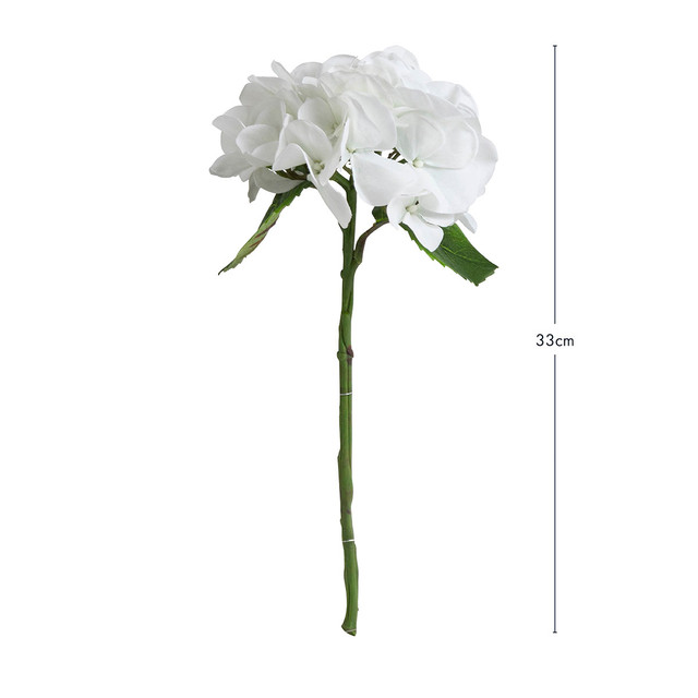 Hydrangea White Pick 1 Hydrangea White Pick