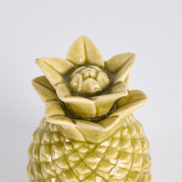 Taika Pineapple 12 Taika Pineapple