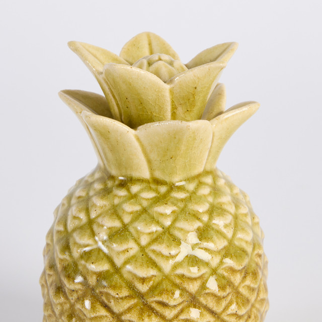 Taika Pineapple 13 Taika Pineapple