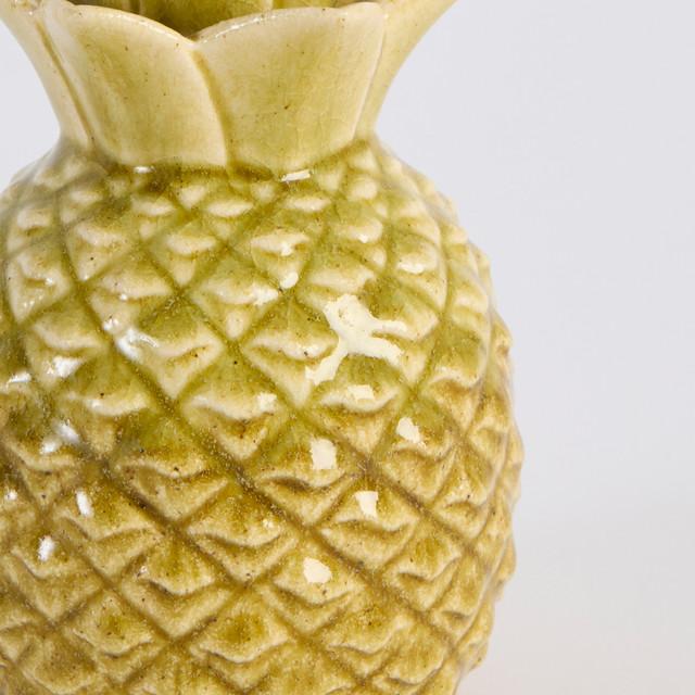 Taika Pineapple 14 Taika Pineapple