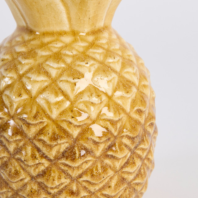 Taika Pineapple 16 Taika Pineapple