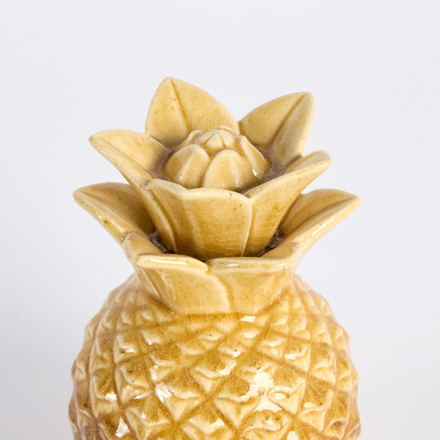 Taika Pineapple 17 Taika Pineapple